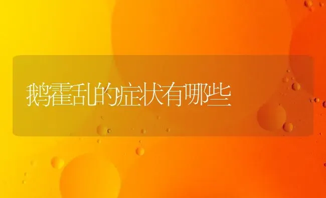 鹅霍乱的症状有哪些 | 家禽养殖