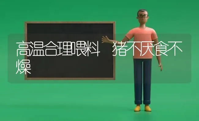 高温合理喂料 猪不厌食不燥 | 家畜养殖