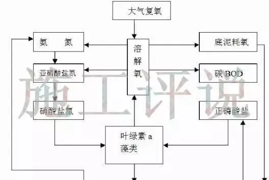 详说养殖水体中亚硝酸盐、氨氮升高的原因和应对方法