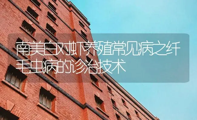 南美白对虾养殖常见病之纤毛虫病的诊治技术 | 海水养殖