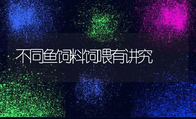 不同鱼饲料饲喂有讲究 | 动物养殖饲料