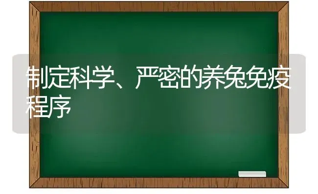 制定科学、严密的养兔免疫程序 | 家畜养殖