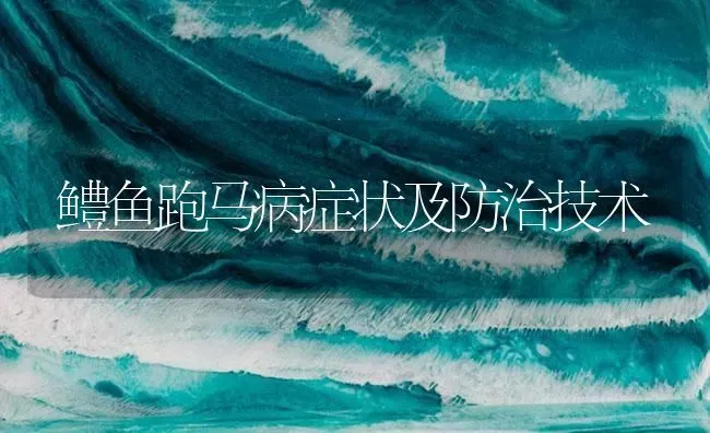 鳢鱼跑马病症状及防治技术 | 养殖病虫害防治