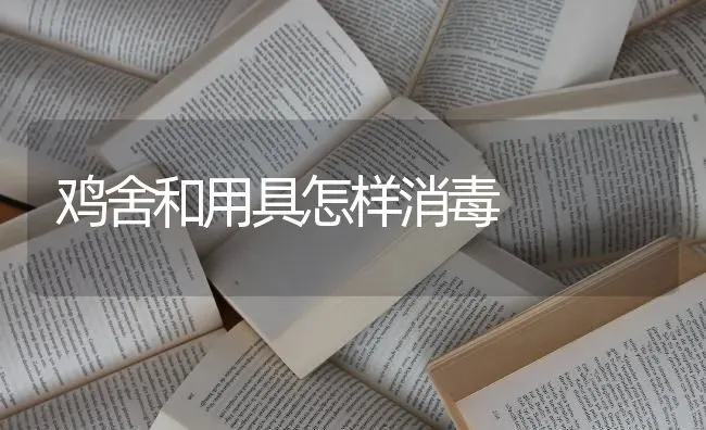 鸡舍和用具怎样消毒 | 家禽养殖