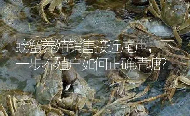 螃蟹养殖销售接近尾声，下一步养殖户如何正确清塘？ | 淡水养殖