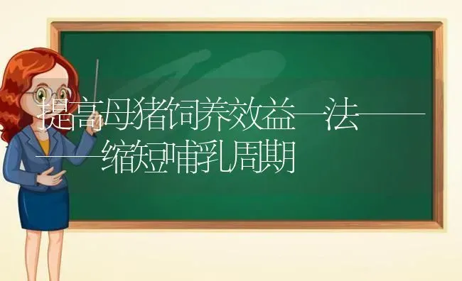 提高母猪饲养效益一法————缩短哺乳周期 | 家畜养殖
