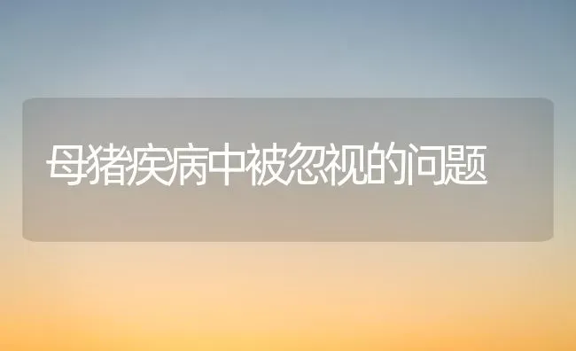 母猪疾病中被忽视的问题 | 家畜养殖