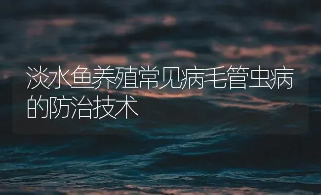 淡水鱼养殖常见病毛管虫病的防治技术 | 养殖病虫害防治