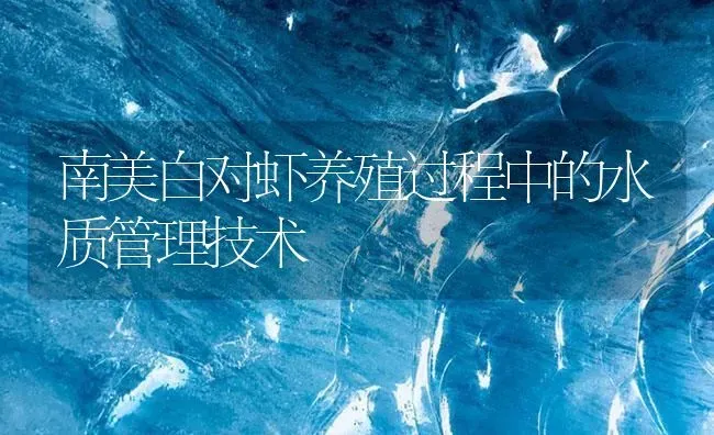 南美白对虾养殖过程中的水质管理技术 | 海水养殖