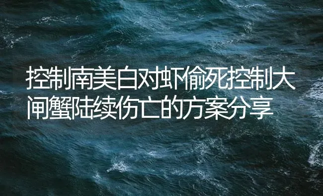 控制南美白对虾偷死控制大闸蟹陆续伤亡的方案分享 | 海水养殖