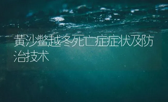 黄沙鳖越冬死亡症症状及防治技术 | 养殖病虫害防治