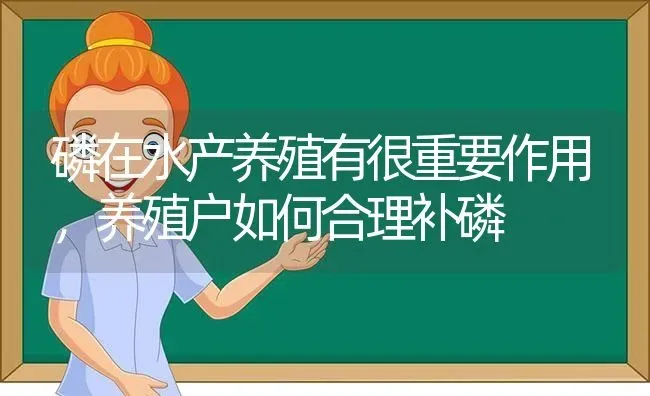 磷在水产养殖有很重要作用，养殖户如何合理补磷 | 动物养殖百科