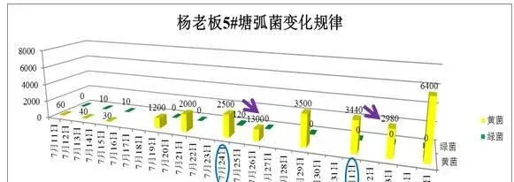 一个中造虾15口塘全部成功的对虾养殖户的弧菌防控经验