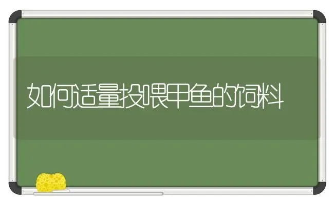 如何适量投喂甲鱼的饲料 | 动物养殖饲料