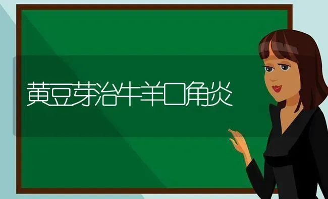 黄豆芽治牛羊口角炎 | 家畜养殖
