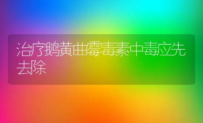 治疗鹅黄曲霉毒素中毒应先去除 | 家禽养殖