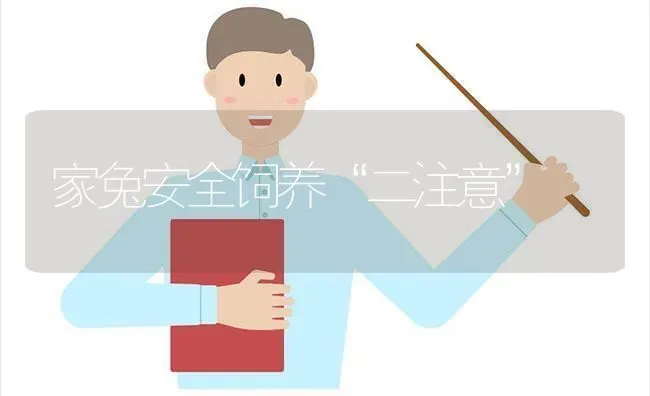 家兔安全饲养“二注意” | 家畜养殖