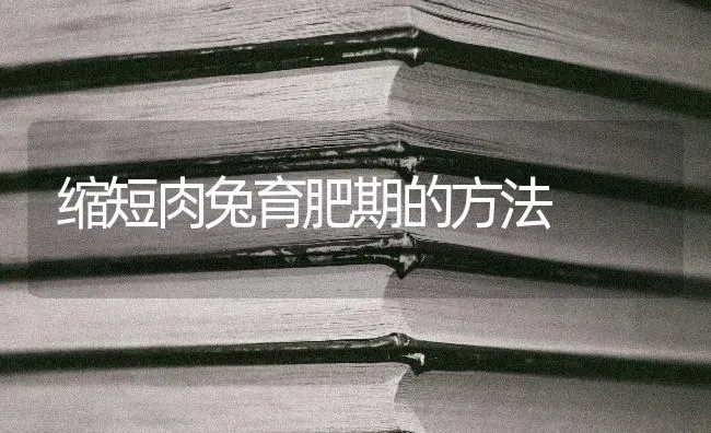 缩短肉兔育肥期的方法 | 家畜养殖