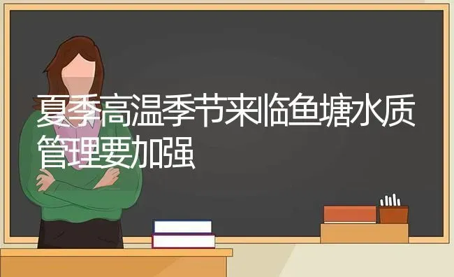 夏季高温季节来临鱼塘水质管理要加强 | 动物养殖百科