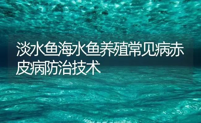 淡水鱼海水鱼养殖常见病赤皮病防治技术 | 养殖病虫害防治