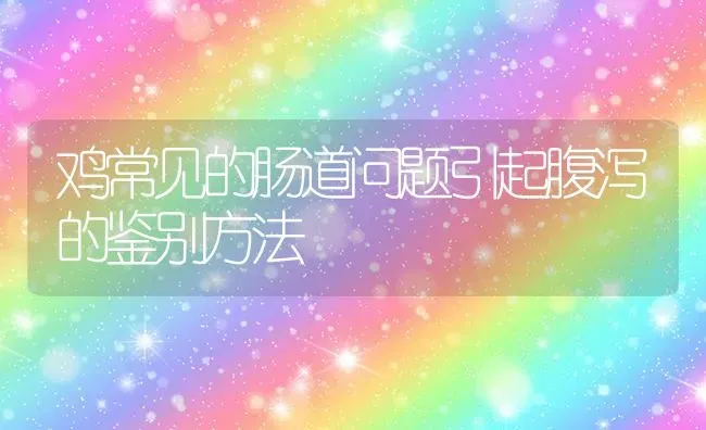 鸡常见的肠道问题引起腹泻的鉴别方法 | 家禽养殖