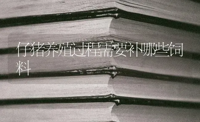 仔猪养殖过程需要补哪些饲料 | 家畜养殖