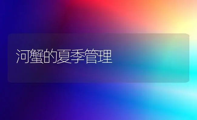 河蟹的夏季管理 | 淡水养殖