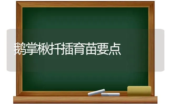 鹅掌楸扦插育苗要点 | 家禽养殖
