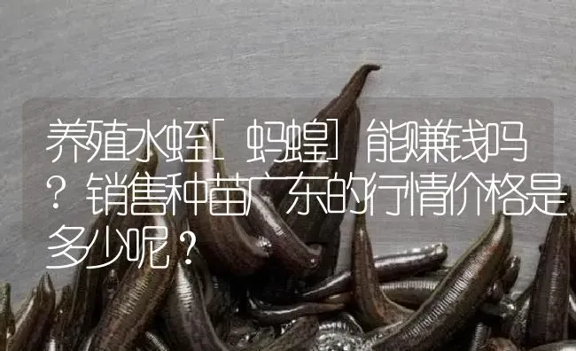 水蛭的药材小故事 | 养殖病虫害防治