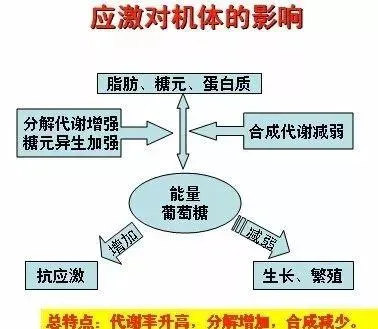 水产养殖过程中的“应激”那点事