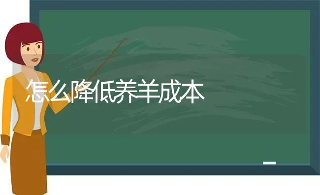 怎么降低养羊成本 | 家畜养殖