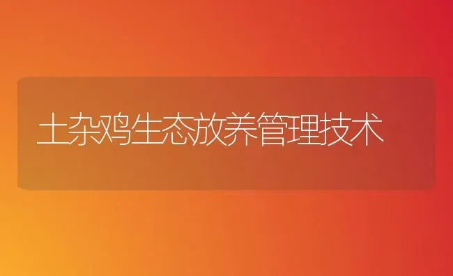 土杂鸡生态放养管理技术 | 家禽养殖