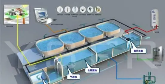 循环水养殖污水太难处理？简单两步帮你确定RAS中生物过滤系统的理论设计！