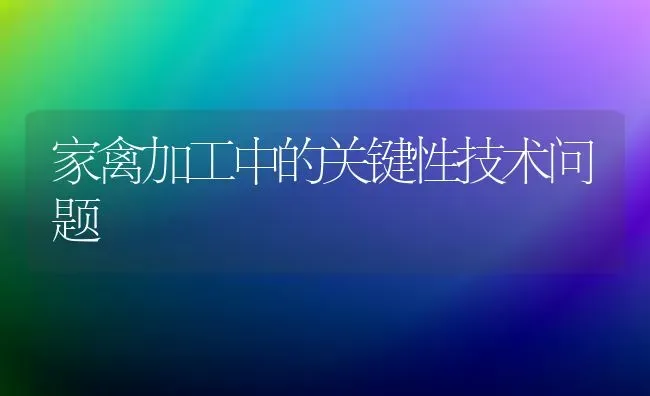 家禽加工中的关键性技术问题 | 家禽养殖