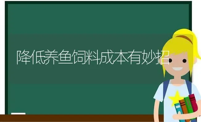 降低养鱼饲料成本有妙招 | 动物养殖饲料