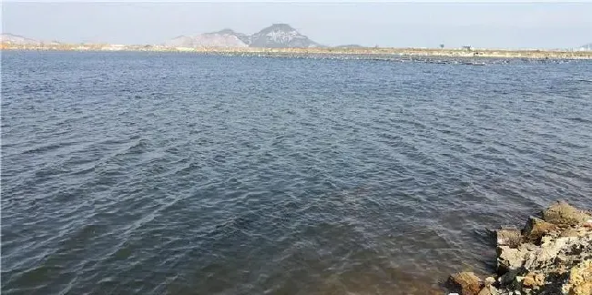 成功避开高温，海参距离安全度夏差在一场暴雨