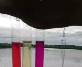3202+3213组合改底降亚硝酸盐促进鱼儿吃食