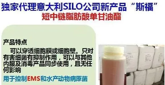 高温季度南美白对虾塘水质处理主线技术方案