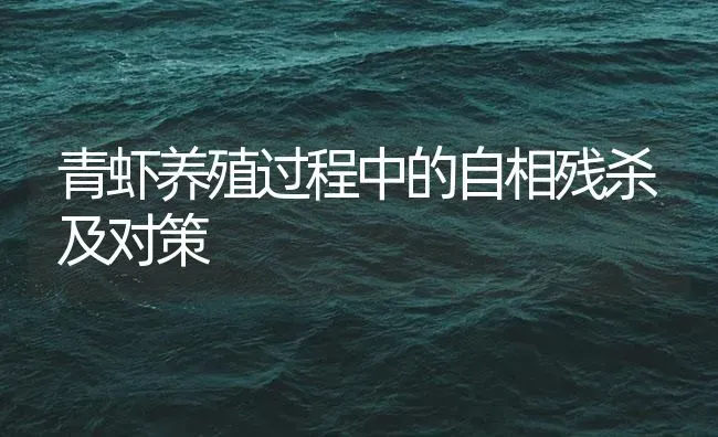 青虾养殖过程中的自相残杀及对策 | 海水养殖