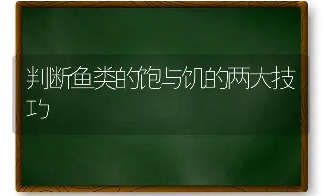 判断鱼类的饱与饥的两大技巧 | 淡水养殖