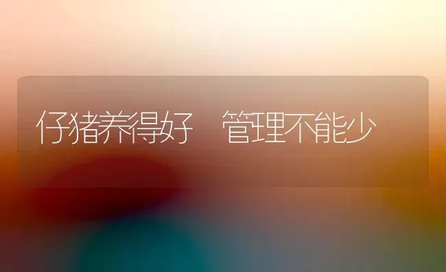 仔猪养得好 管理不能少 | 家畜养殖