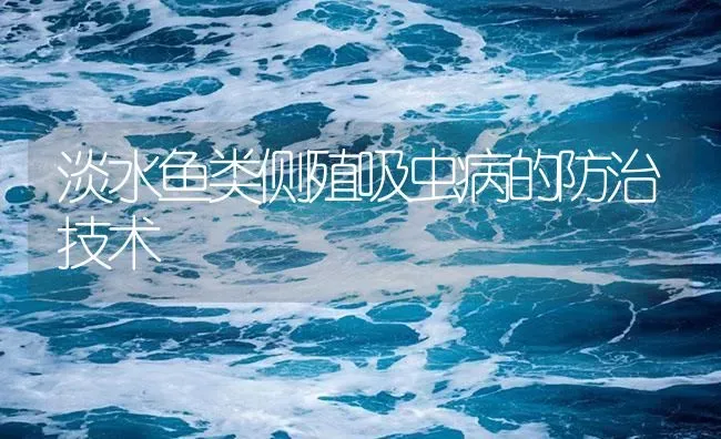 斑点叉尾鮰水霉病症状及防治技术 | 养殖病虫害防治