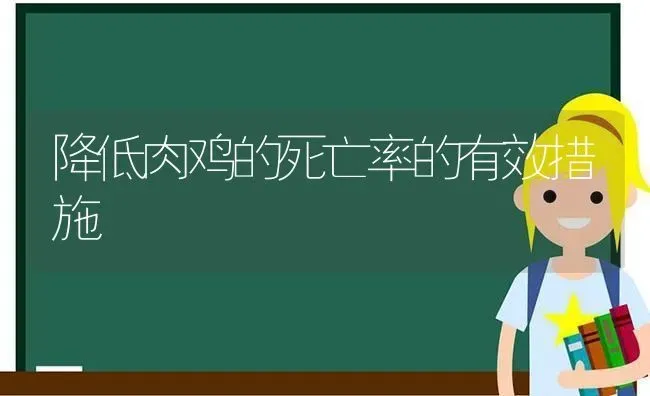 降低肉鸡的死亡率的有效措施 | 家禽养殖