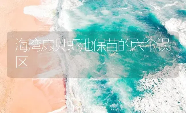 海湾扇贝虾池保苗的六个误区 | 海水养殖