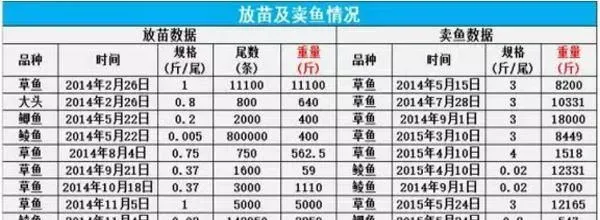 量身定制草鱼等品种养殖模式 单包料长鱼33斤