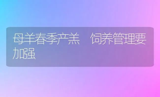 母羊春季产羔 饲养管理要加强 | 家畜养殖