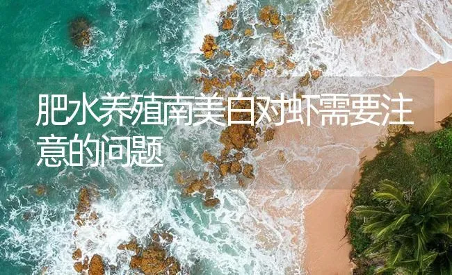 肥水养殖南美白对虾需要注意的问题 | 海水养殖