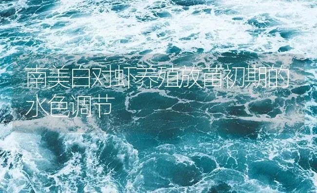 南美白对虾养殖放苗初期的水色调节 | 海水养殖