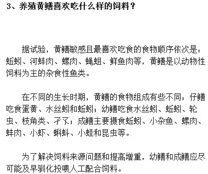 黄鳝的食性及生长介绍