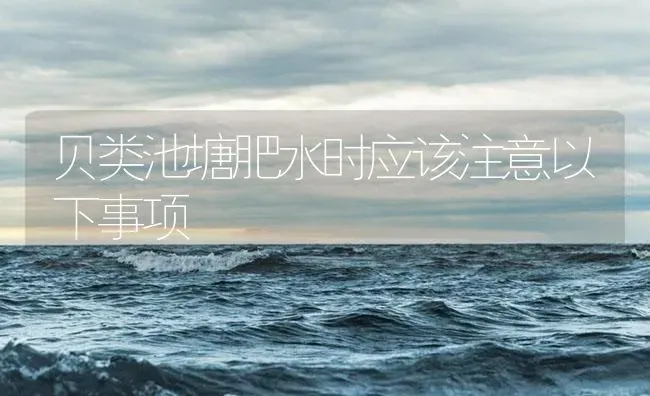 贝类池塘肥水时应该注意以下事项 | 海水养殖